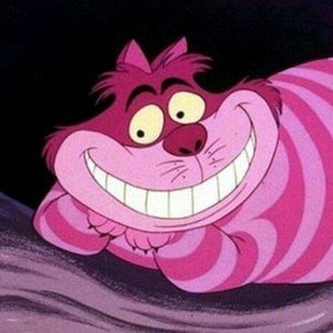 Meet your Posher, Abigial